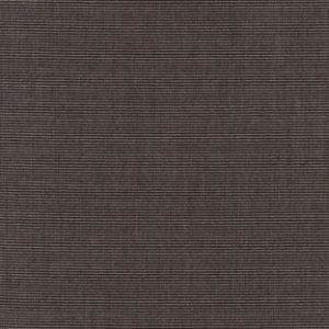 Sunbrella Canvas Coal