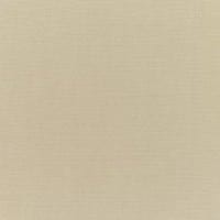 Sunbrella Canvas Antique Beige