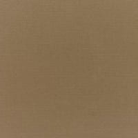 Sunbrella Canvas Cocoa