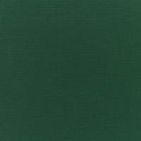 Sunbrella Canvas Forest Green