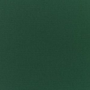 Sunbrella Canvas Forest Green