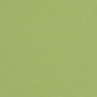 Canvas Ginkgo