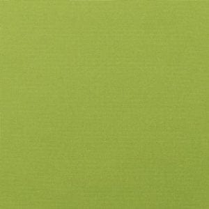 Sunbrella Canvas Macaw