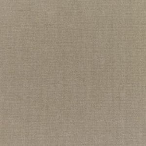 Sunbrella Canvas Taupe