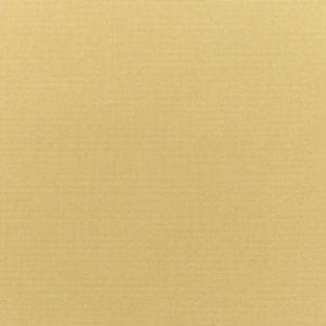 Sunbrella Canvas Wheat