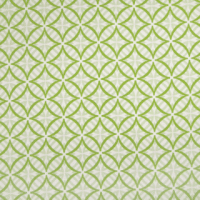 Warwick Coolum Lime