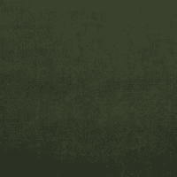 Warwick Mystere Velvet Spruce