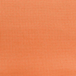 Warwick Noosa Melon