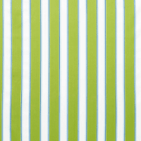 Warwick Waikiki Lime