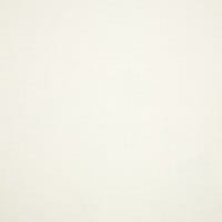 Sunbrella Canvas White