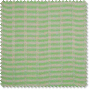 Warwick Mauritis Palm